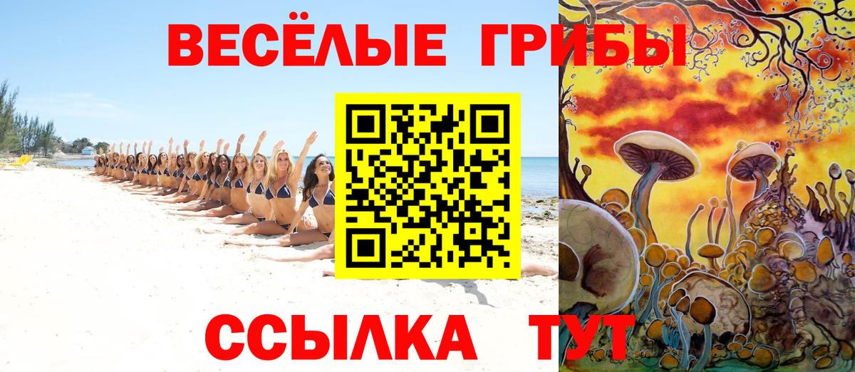 Долгопрудный  Псилоцибиновые грибы Psilocybe  Вход с VPN 