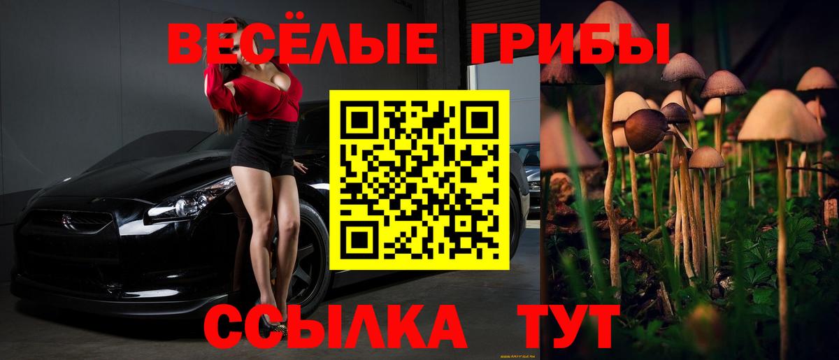 Галлюциногенные грибы мицелий Долгопрудный